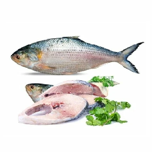 Bangladeshi Padma Hilsha (1 kg)