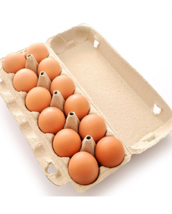 Egg 12 Pack