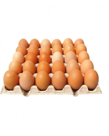 Egg  30Pack